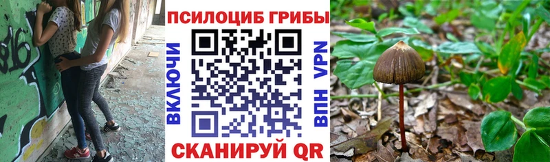 Галлюциногенные грибы Magic Shrooms  Сухиничи 